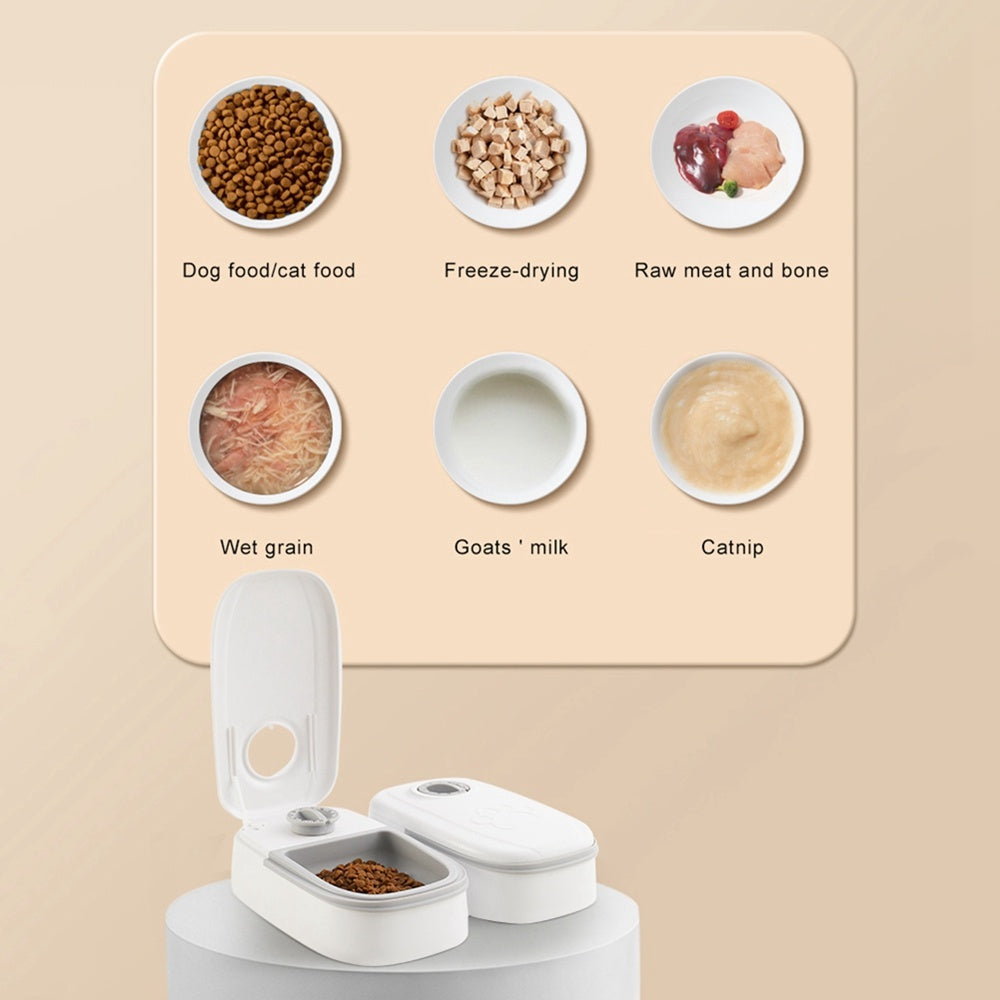 Smart Auto Pet Feeder with Timer & Steel Bowl