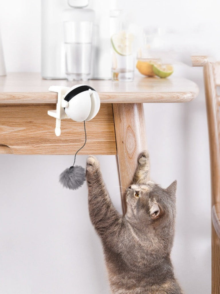 Electric Automatic Lifting Motion Cat Toy | Interactive Smart Pet Teaser Ball