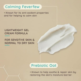 Aveeno Face Oat Gel Moisturiser (1x 50ml), Face Moisturiser to Instantly Soothe and Replenish the Skin's Moisture Barrier, Intensely Nourishing Day Cream, Tested on Sensitive Skin