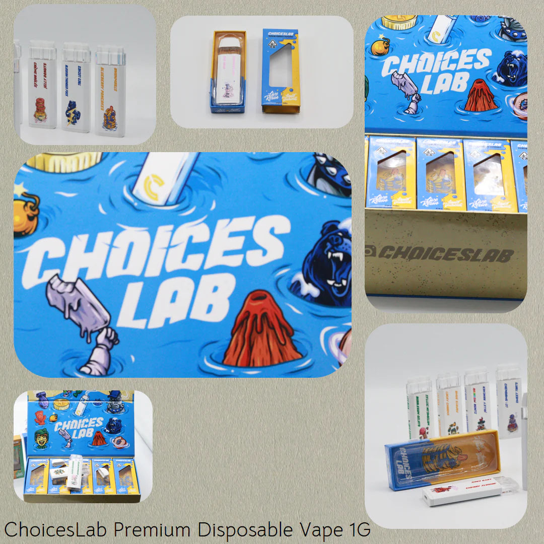 ChoicesLab Premium Disposable Vape 1G 