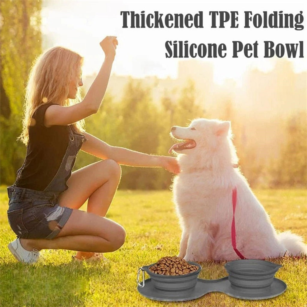 Rubber Foldable Double Bowl Pet Feeding Bowl | Premium Dog & Cat Bowls